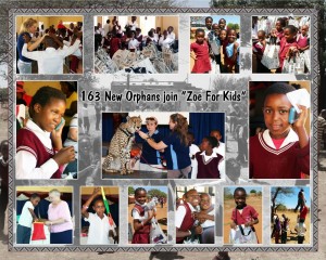 New 163 Orphans Email