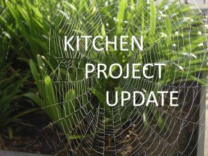 kitchen-project-update